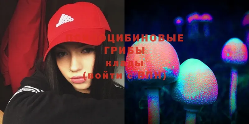 Псилоцибиновые грибы Magic Shrooms Бикин